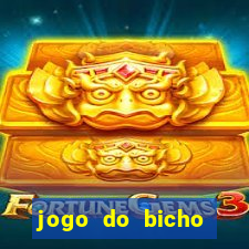 jogo do bicho preferida matinal